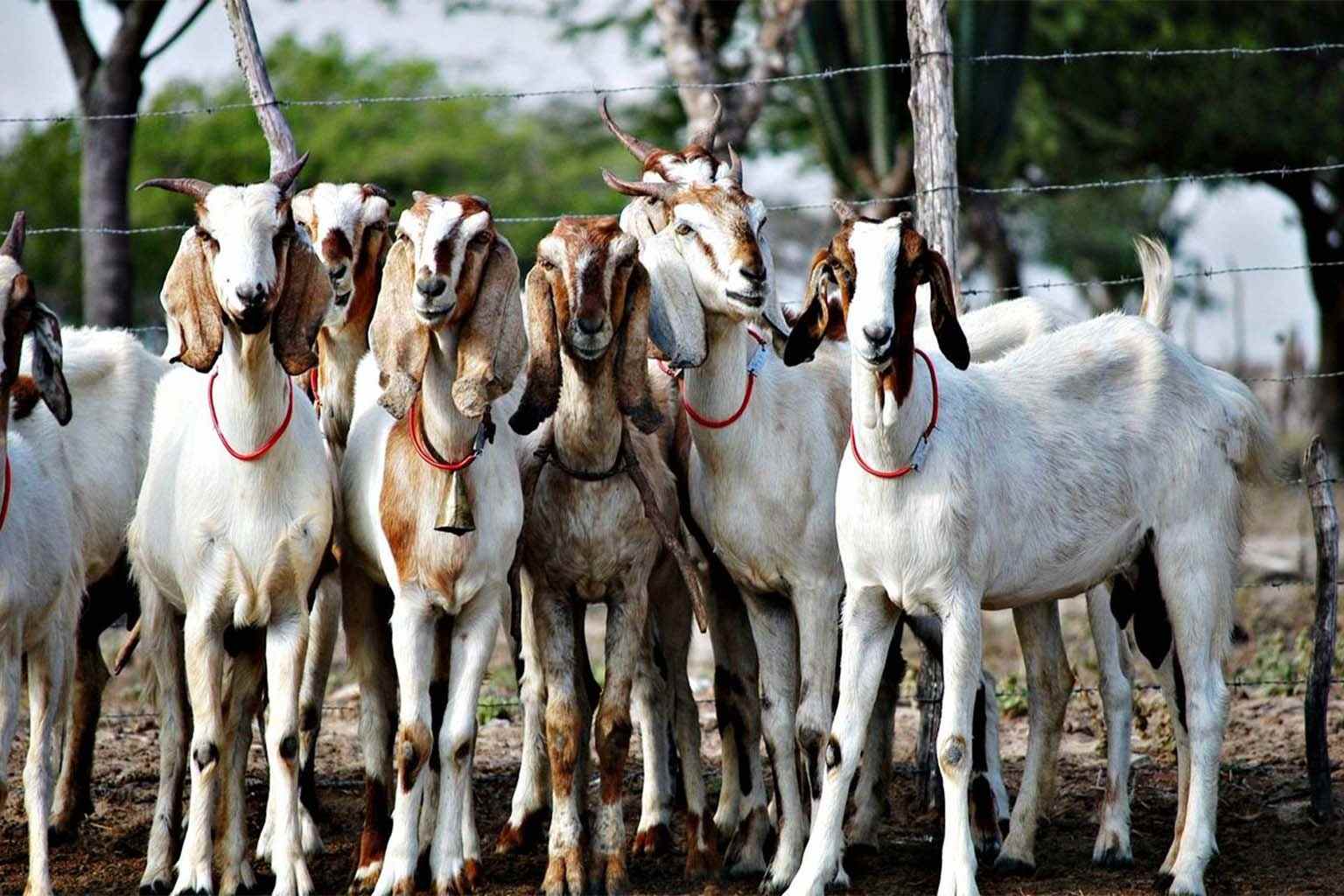 SK POS Fast Checkout